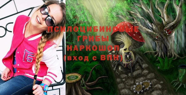 МДПВ Богородицк