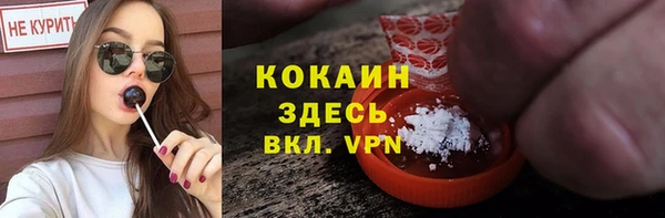 МДПВ Богородицк