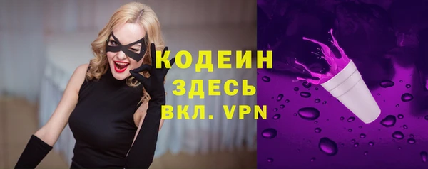 apvp Богородск