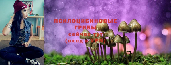 кокаин колумбия Богданович
