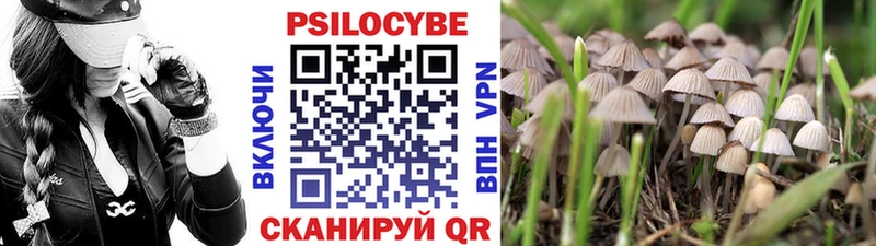 купить   Добрянка  Псилоцибиновые грибы мухоморы 